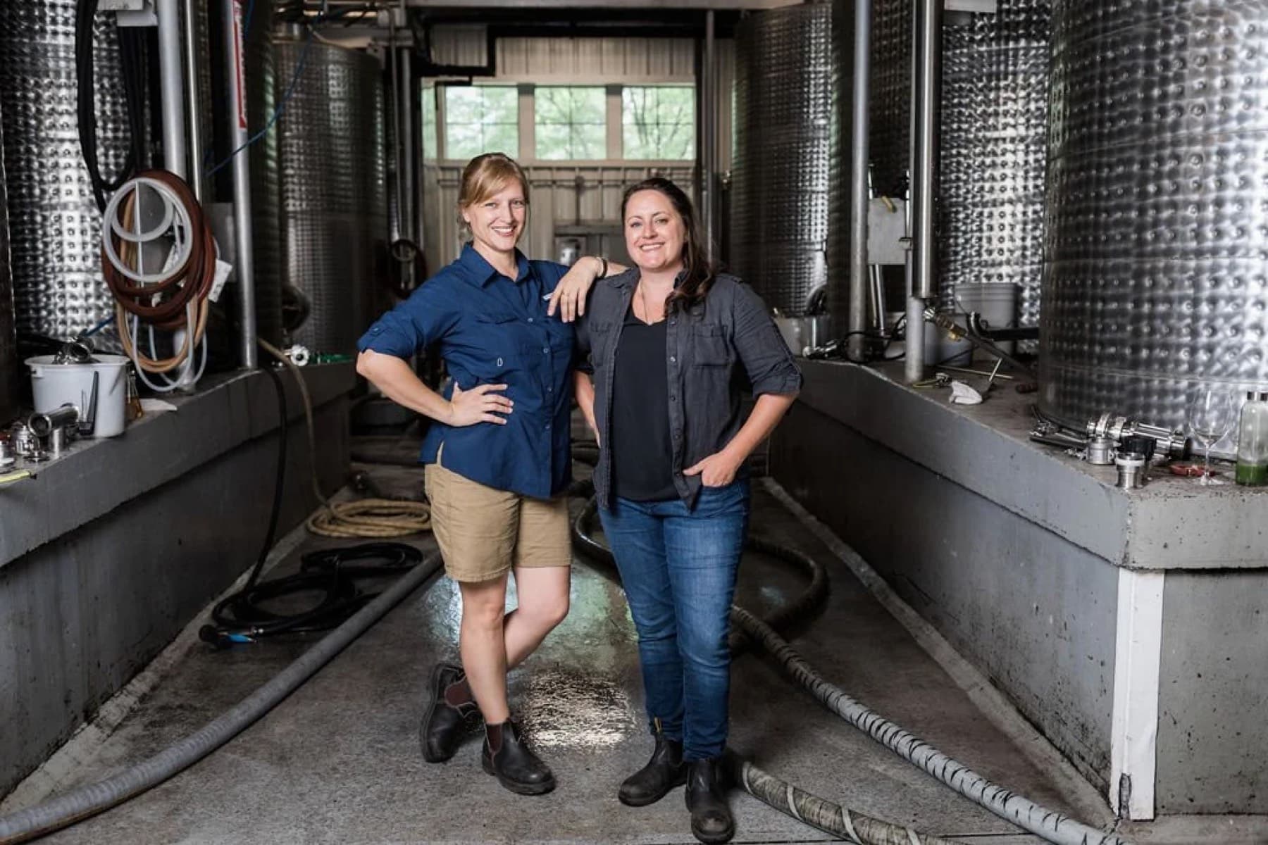 Chronicle Wines / Peconic Cellar Door — photo 1