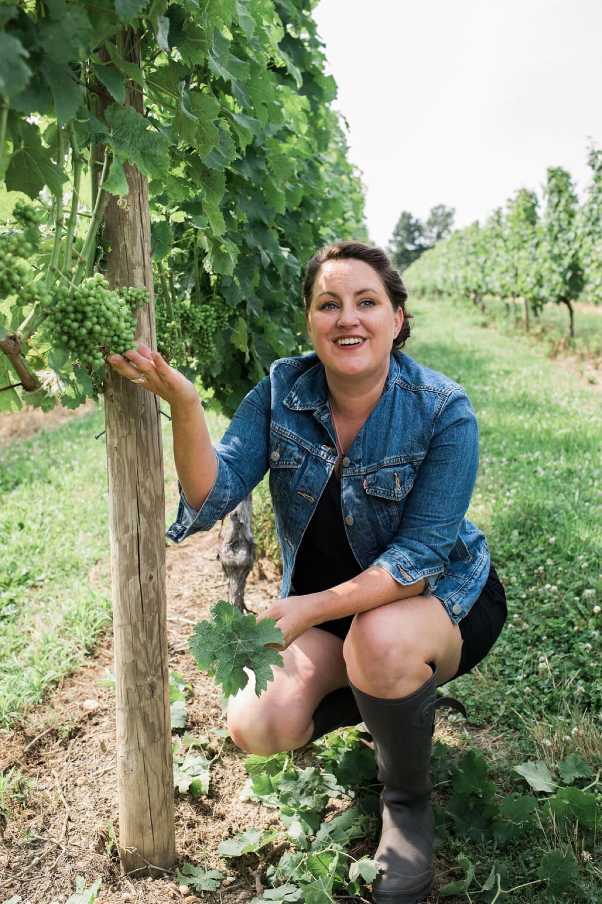 Chronicle Wines / Peconic Cellar Door — photo 4