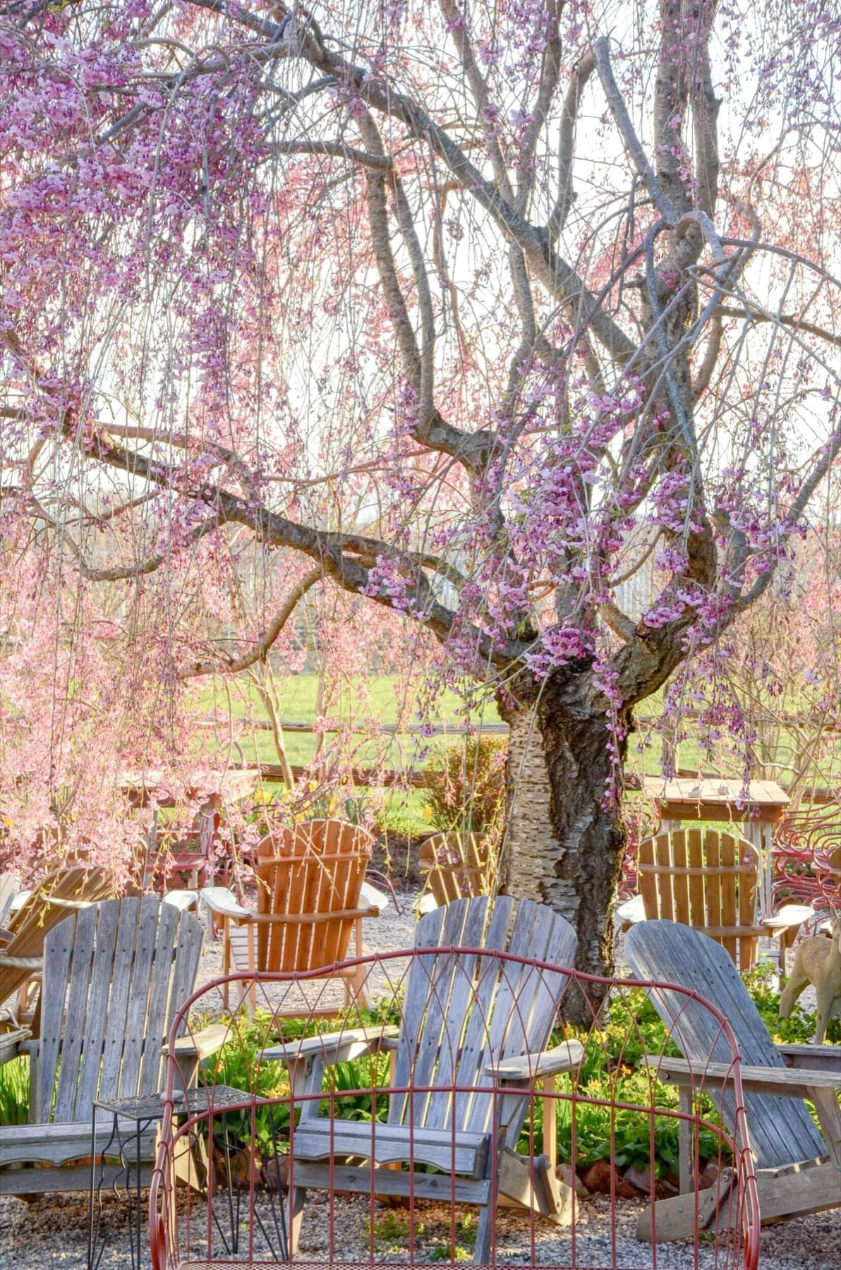 Croteaux Vineyards — photo 4