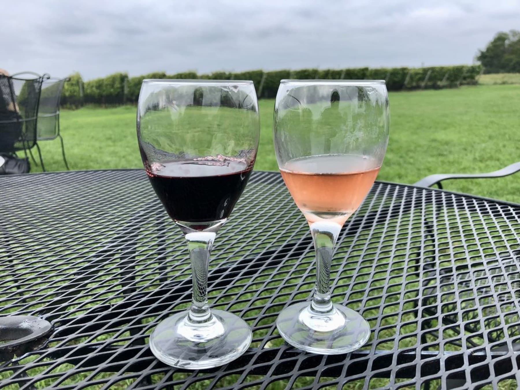 Duck Walk Vineyards North — photo 1