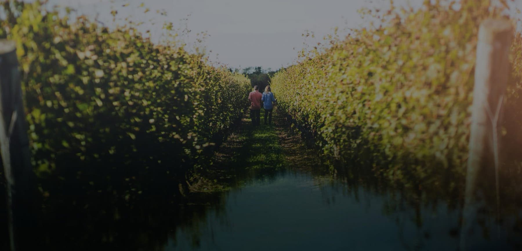 Duck Walk Vineyards Southampton — photo 1