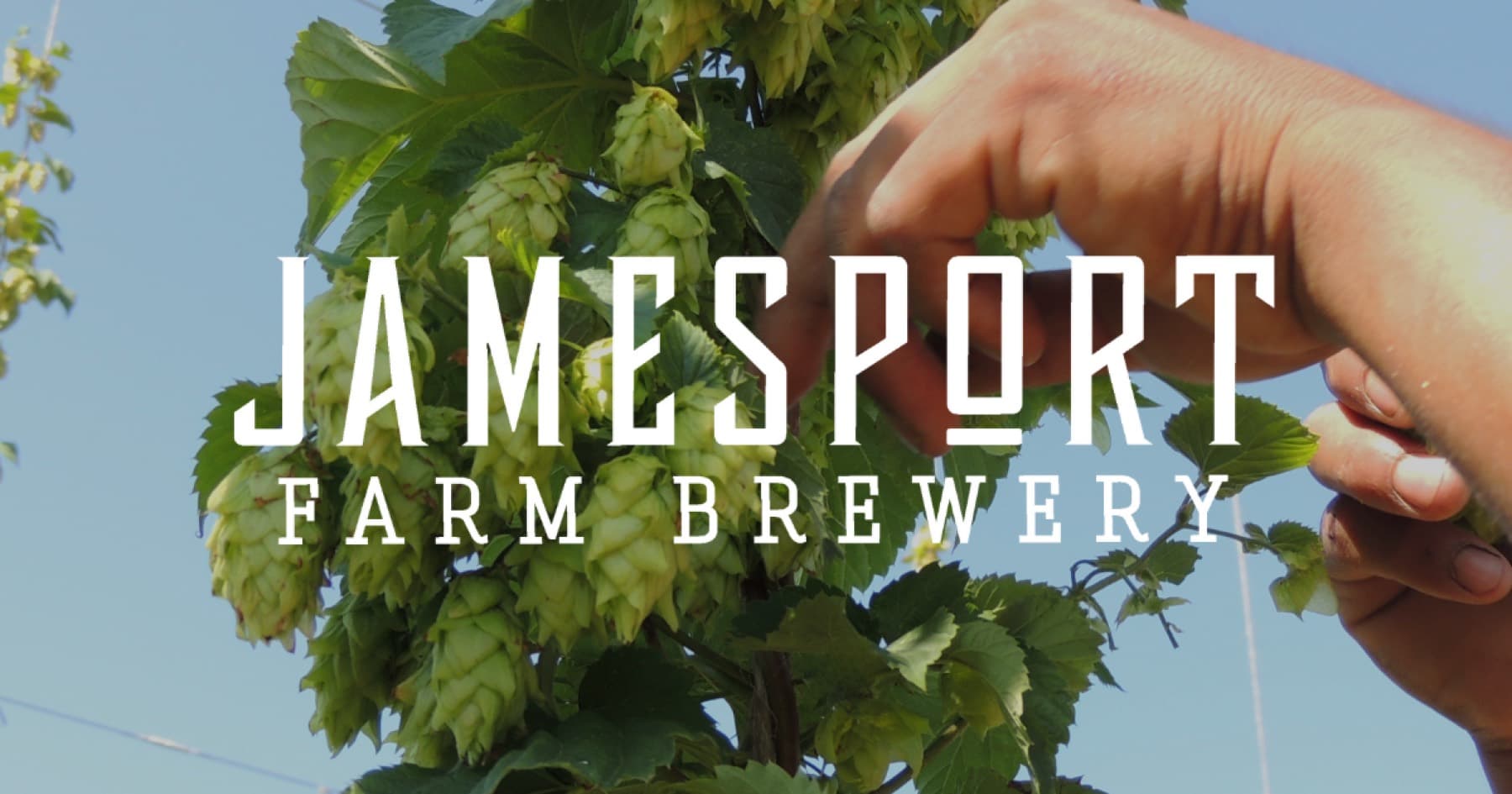 Jamesport Farm Brewery — photo 1