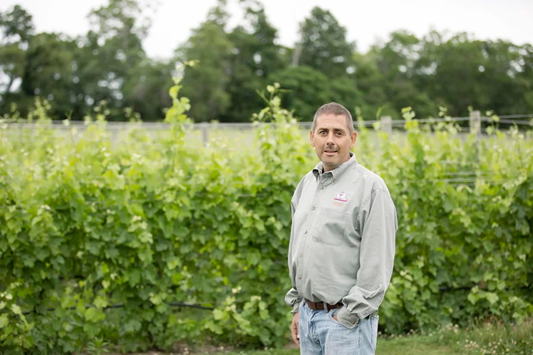 Kontokosta Winery — photo 2