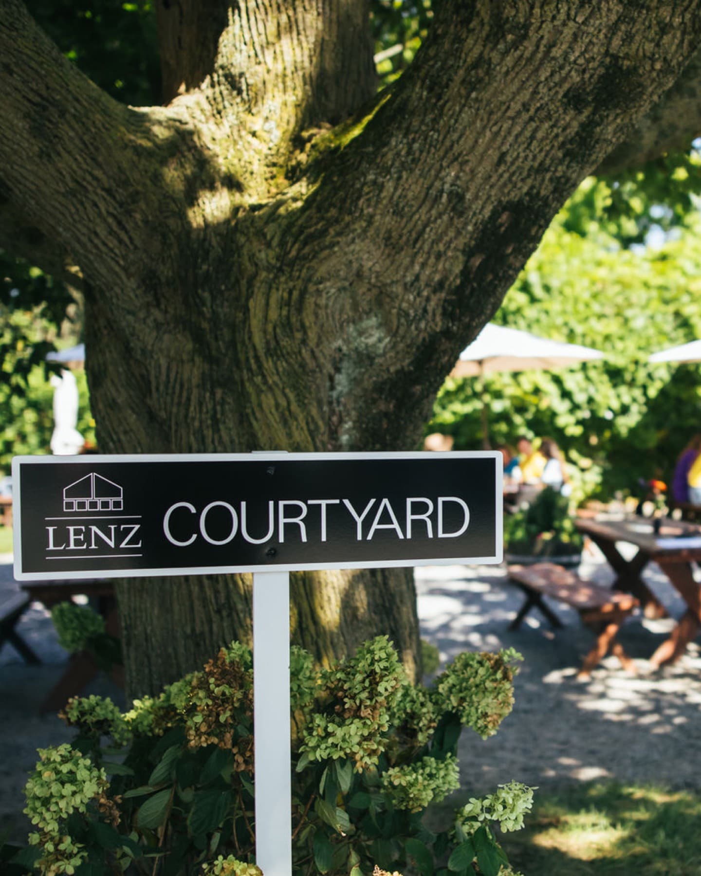 Lenz Winery — photo 1