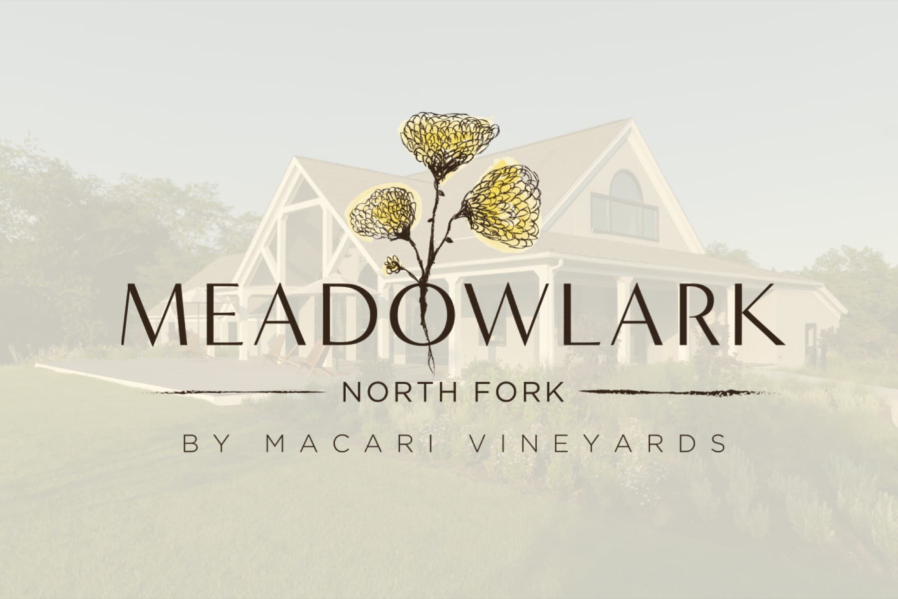 Macari Vineyards — photo 1