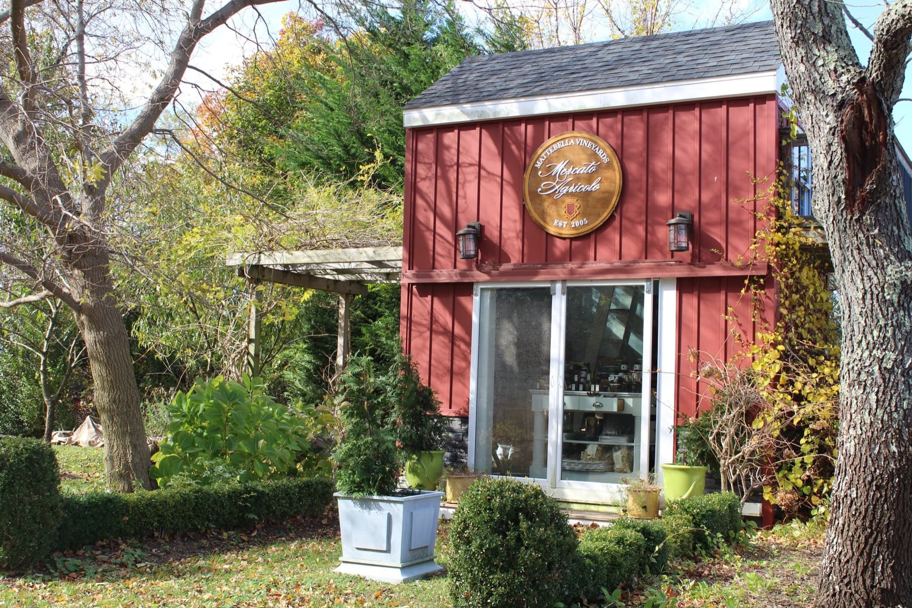 Mattebella Vineyards — photo 2