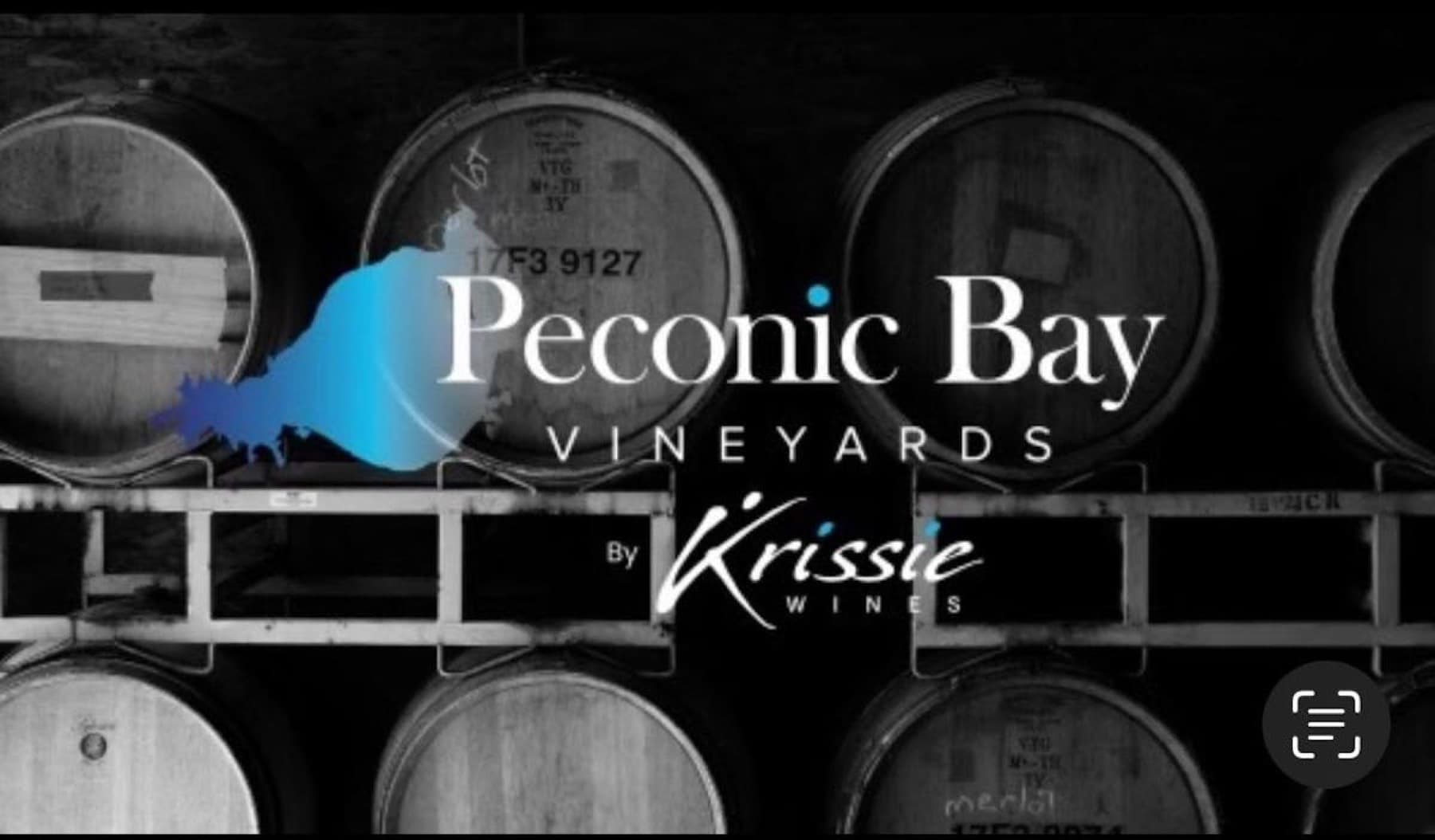 Peconic Bay Vineyards — photo 4