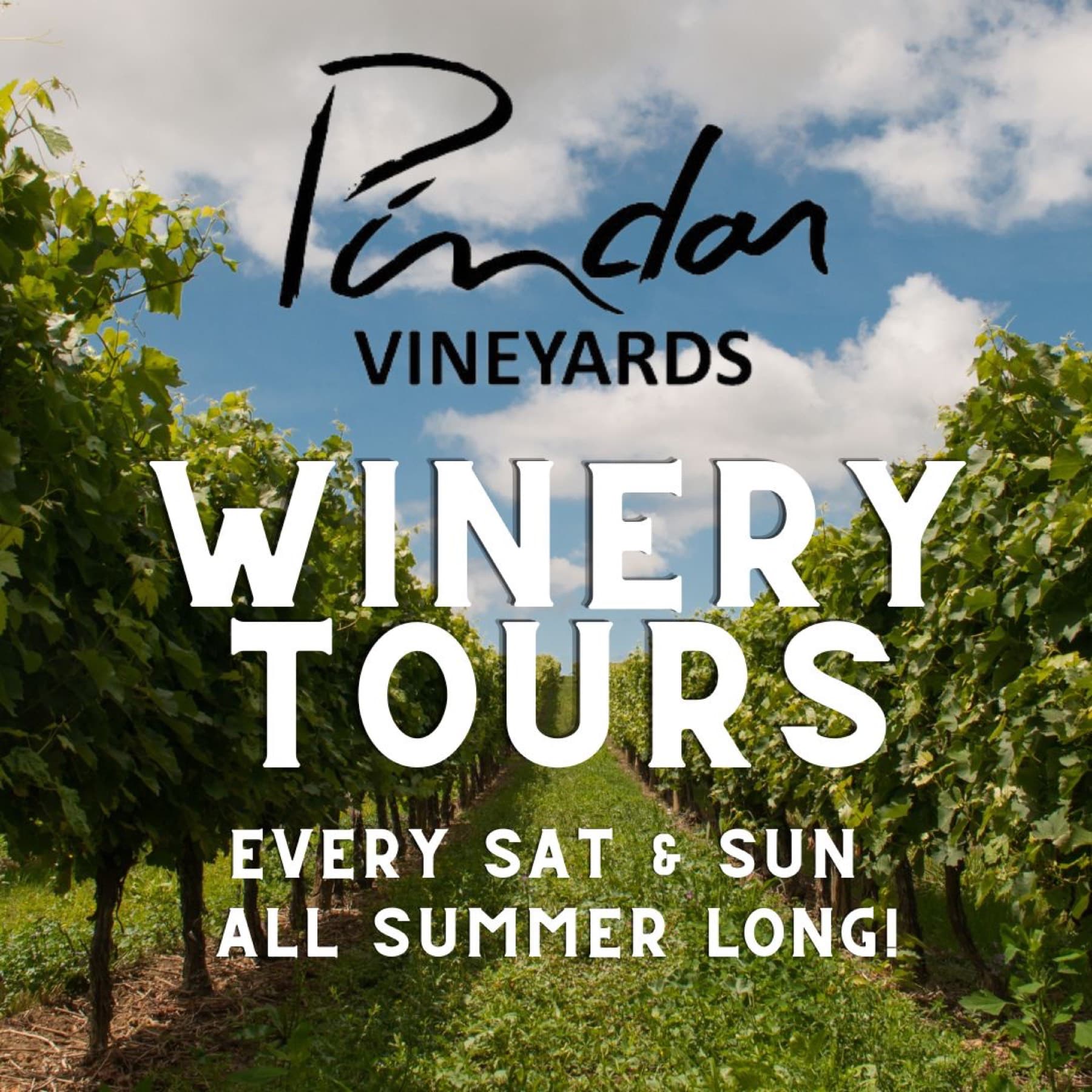 Pindar Vineyards — photo 4