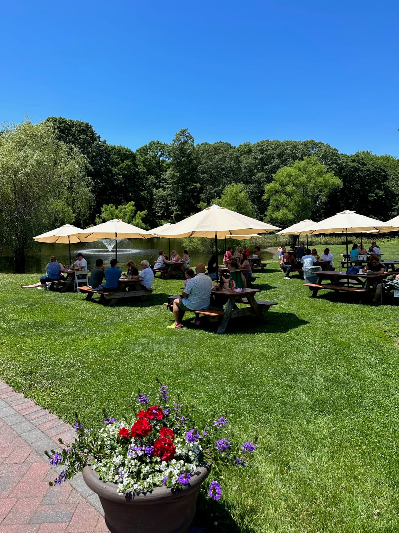 Pugliese Vineyards — photo 1