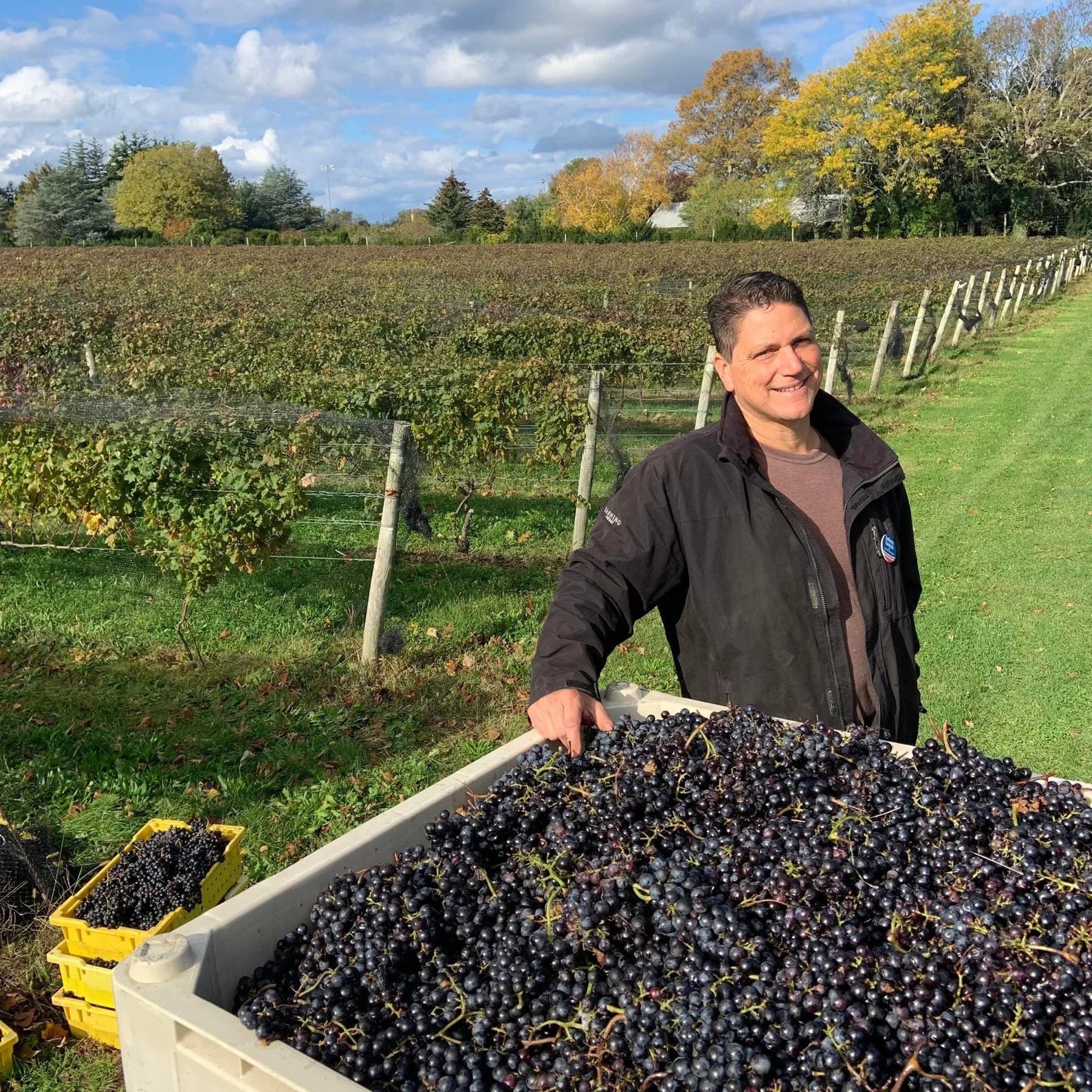 Sannino Vineyard — photo 3