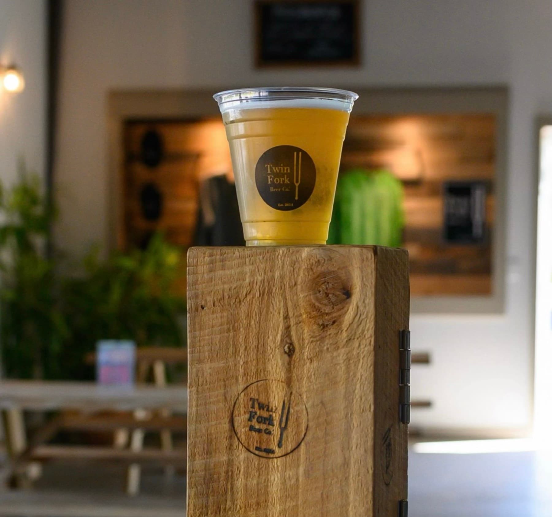 Twin Fork Beer Co — photo 1