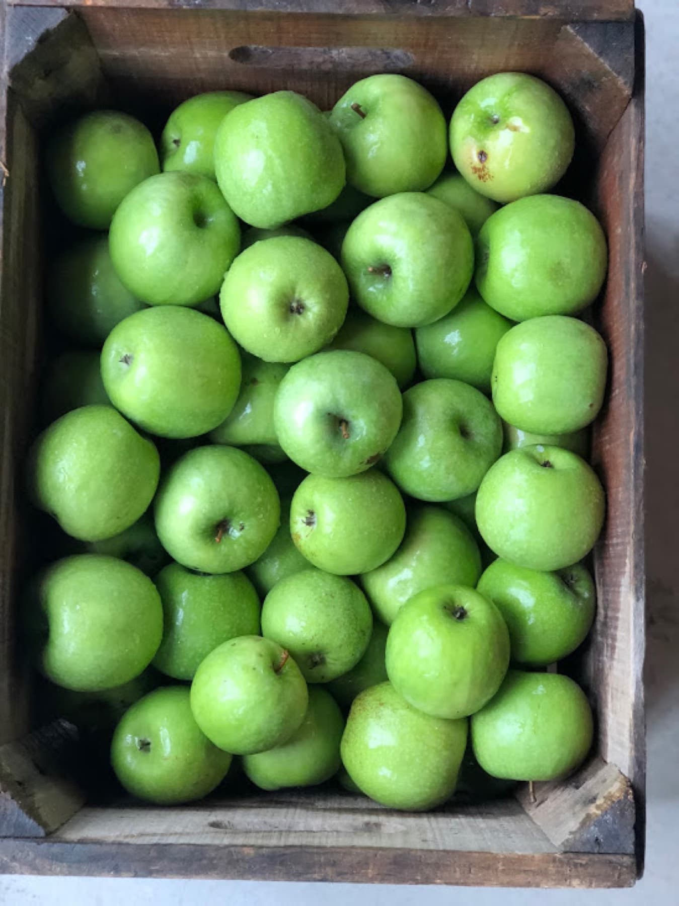 Woodside Orchards — photo 3