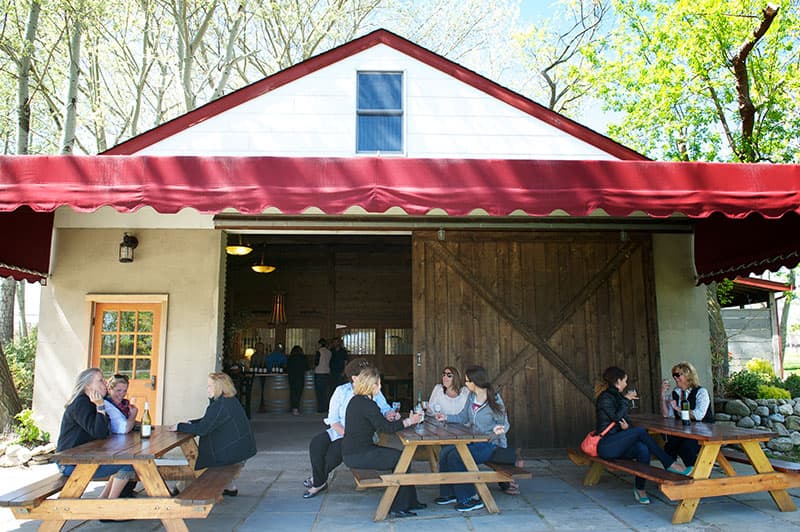 Picnic tables above the Merlot rows at McCall Wines in Cutchogue