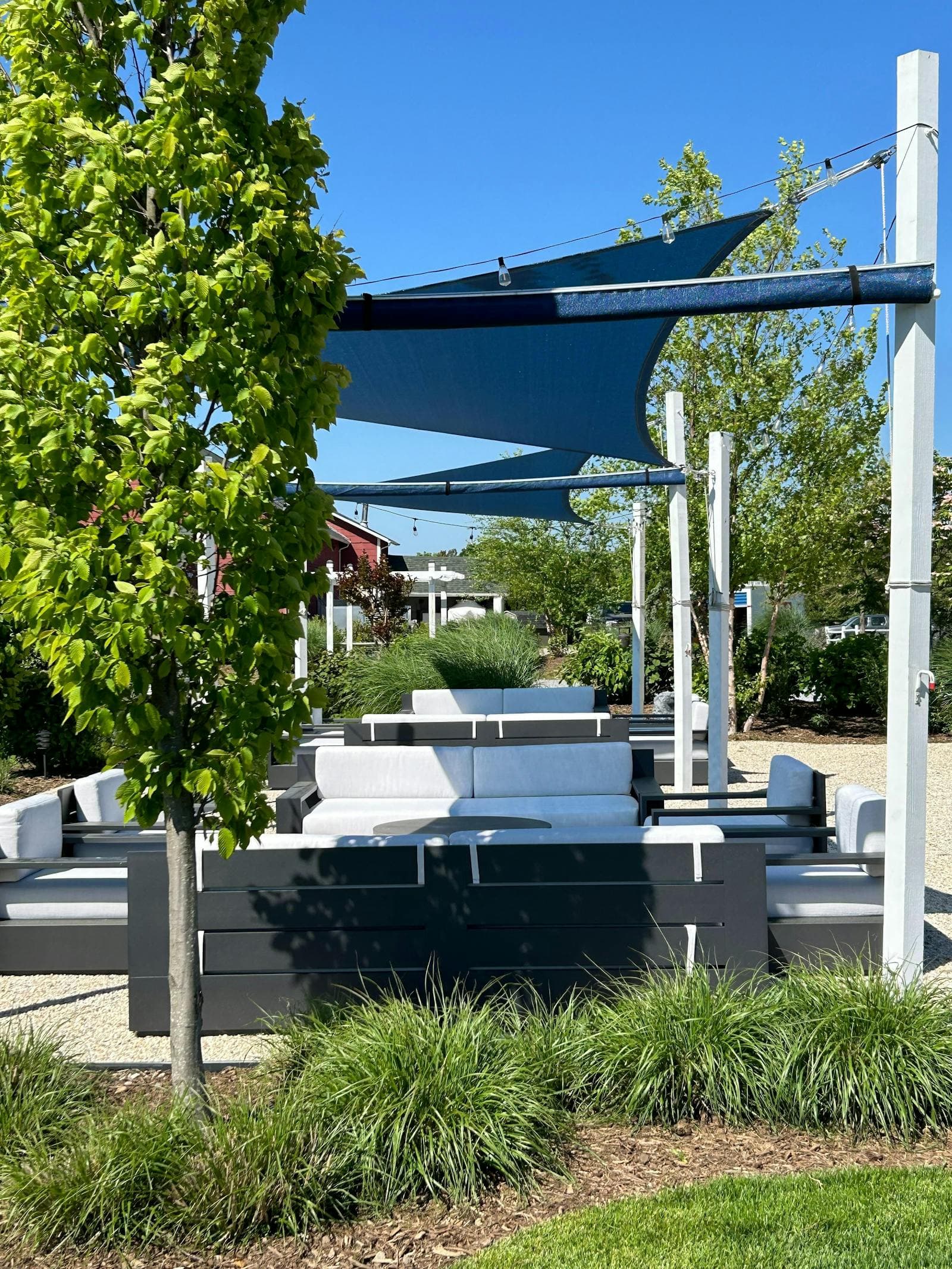 Garden seating among the vines at Peconic Bay Vineyards in Cutchogue