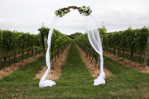 Vineyard aisle at Clovis Point in Jamesport