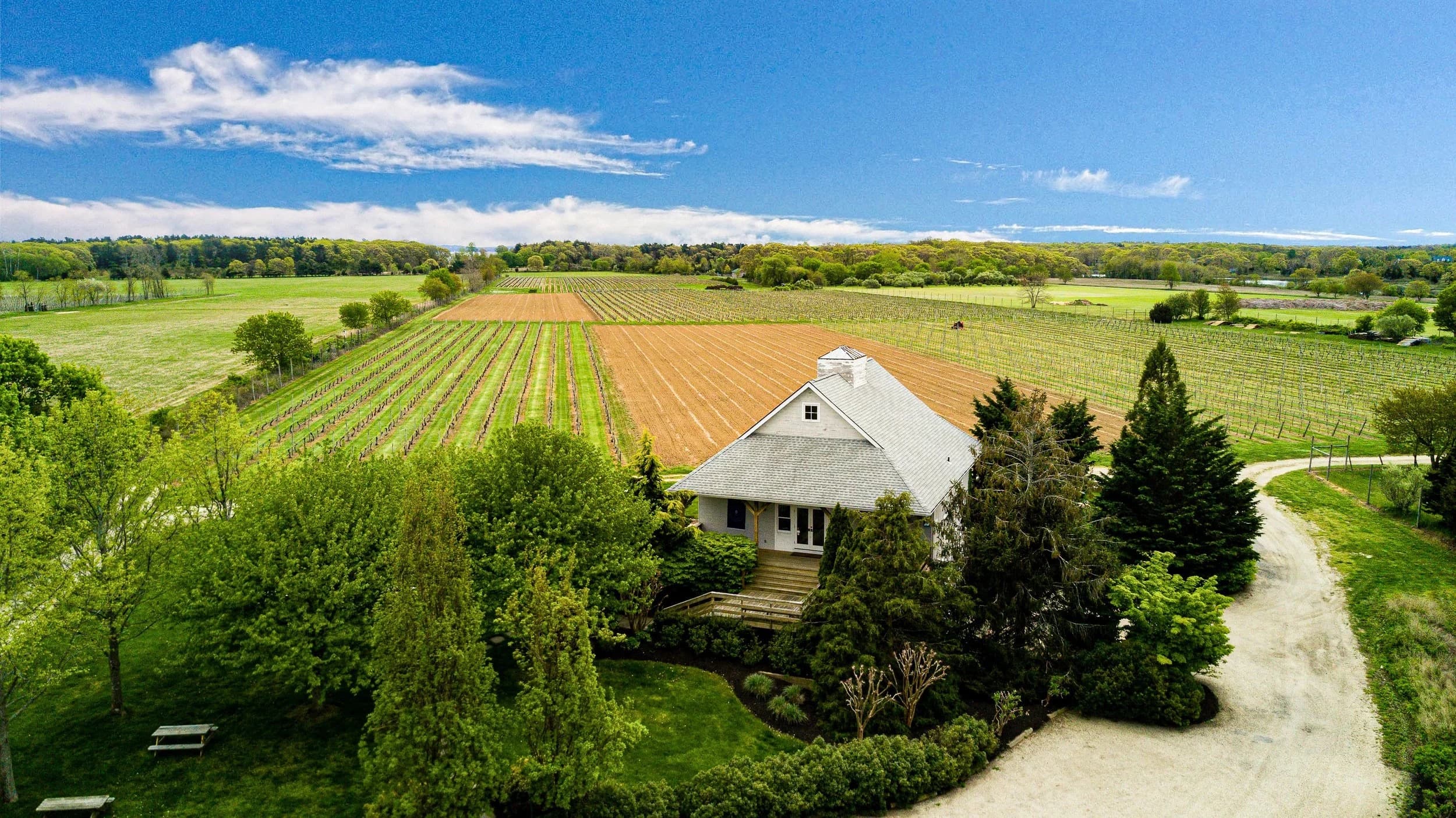 Aerial view of Corey Creek Tap Room among the vines