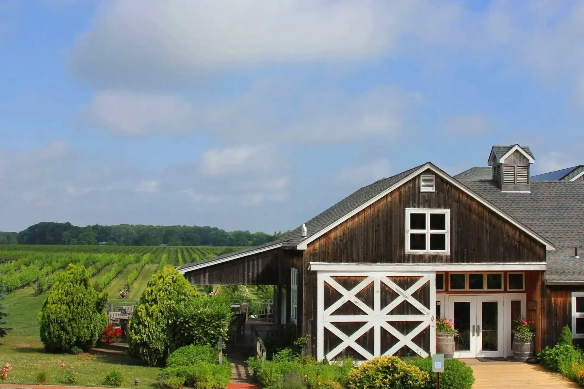 Barn tasting room and vines at Paumanok Vineyards