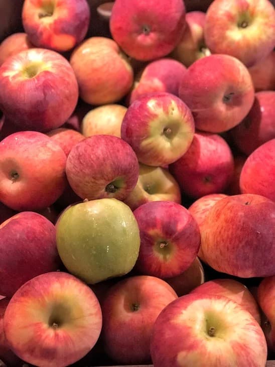 Fresh apples at Woodside Orchards